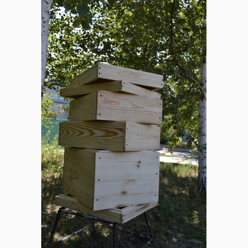 Фото 2. Ульи пчелиные по лучшей цене