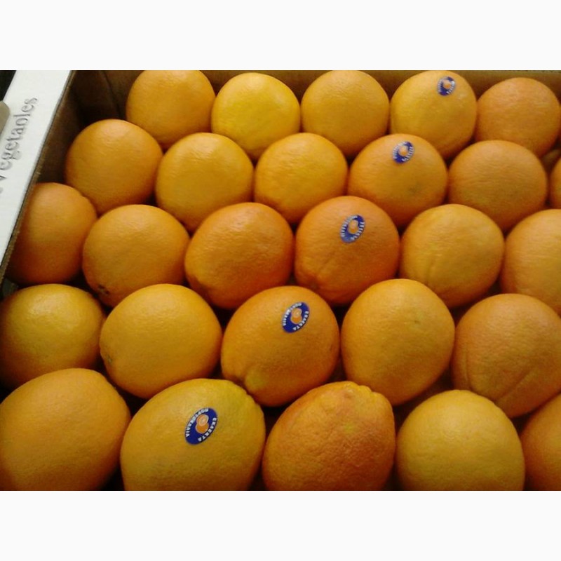 Фото 3. Продаем апельсины мандарины