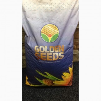 Семена кукурузы Манифик Golden Seeds