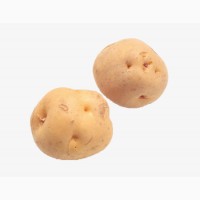 Картофель оптом большие объемы В наличии картофель сорта гринада и белароза