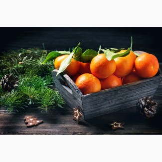Реализуем мандарины апельсины Харьков