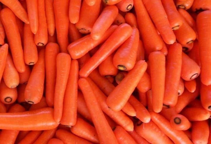 Фото 3. Top grade Good price fresh carrots for sale