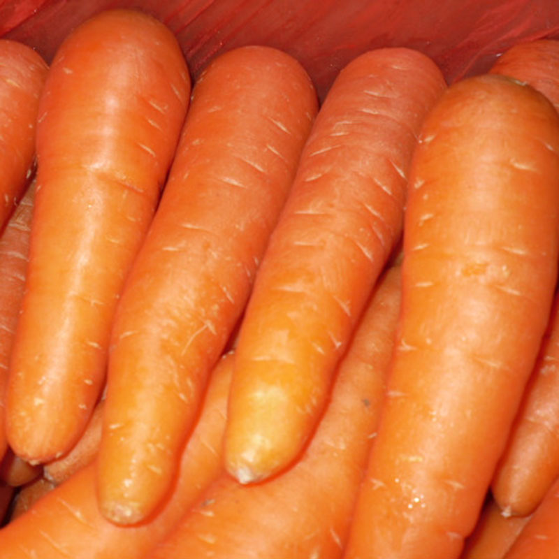 Фото 4. Top grade Good price fresh carrots for sale
