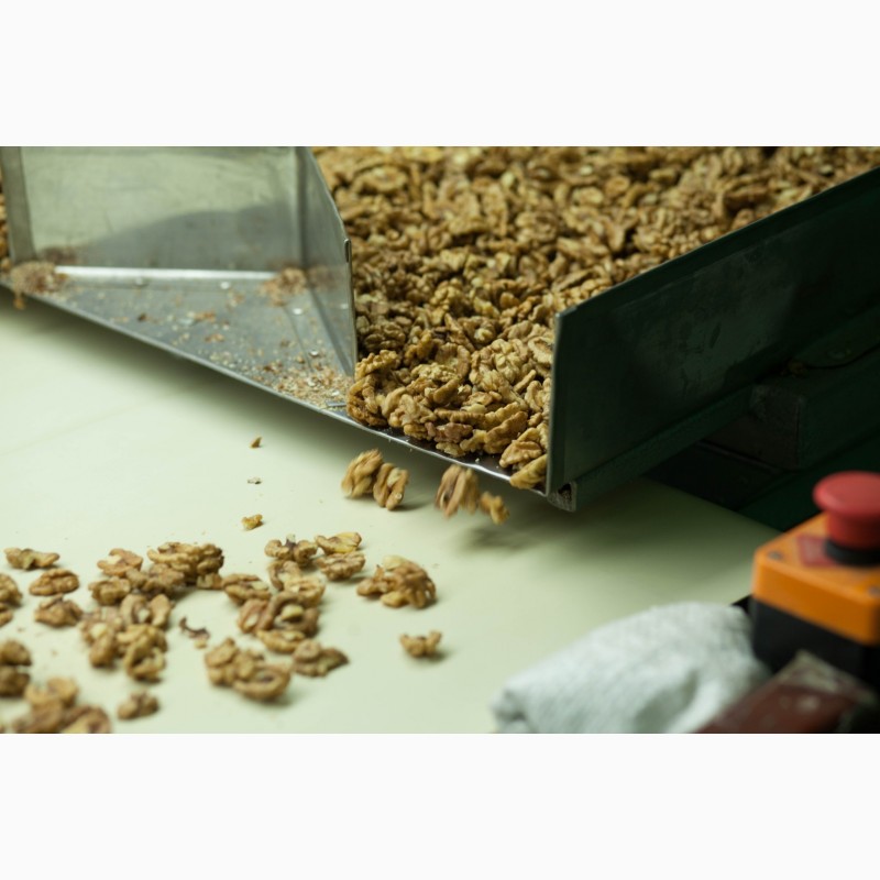Фото 2. Экспорт ядра грецкого ореха 2020 Walnut kernels, Черкасская обл