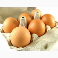 Яйца инкубационные с доставкой