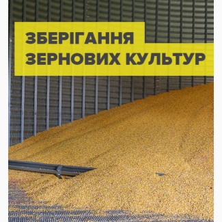 Зберігання зерна Вінницька область 3000 кв.м. від 100 т
