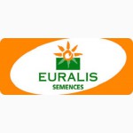 Семена озимого и ярового рапса от производителя Euralis Semences (Евралис Семанс)