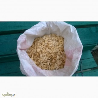 Продам гарбузове насіння (українська багатоплідна)