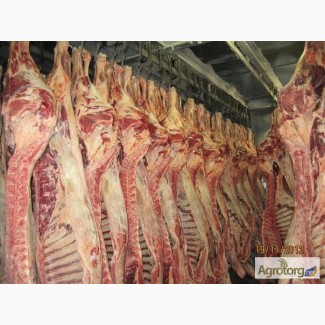 Мясо говядины(корова) полутуши 1, 2 кат. напрямую от производителя, от 43 грн/кг