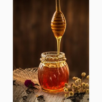 Куплю мед, Одесская область
