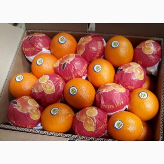 Апельсины ОПТом