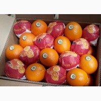 Апельсины ОПТом