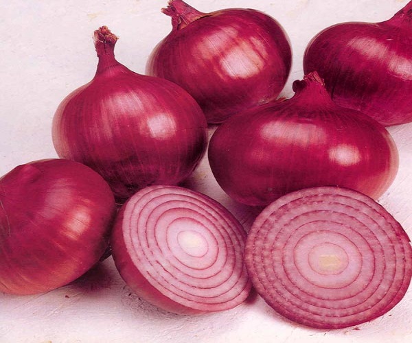 Фото 2. A grade Fresh onion for sale from Egypt