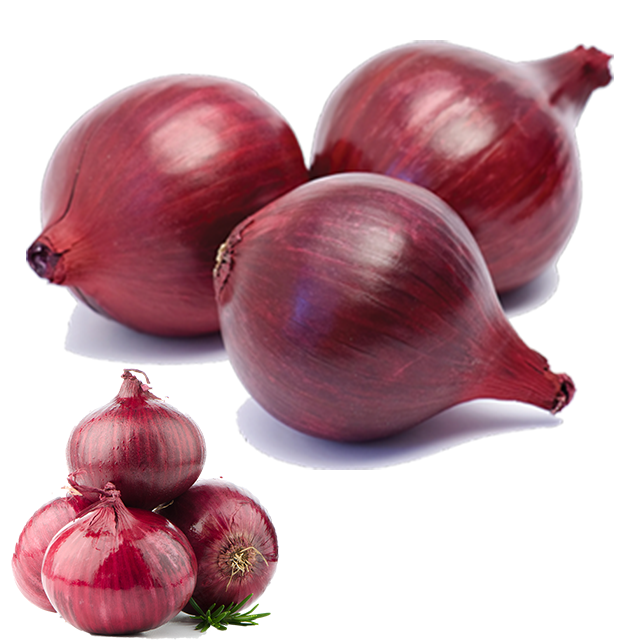 Фото 3. A grade Fresh onion for sale from Egypt