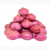 A grade Fresh onion for sale from Egypt