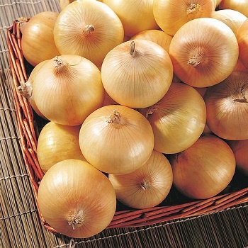 Фото 5. A grade Fresh onion for sale from Egypt