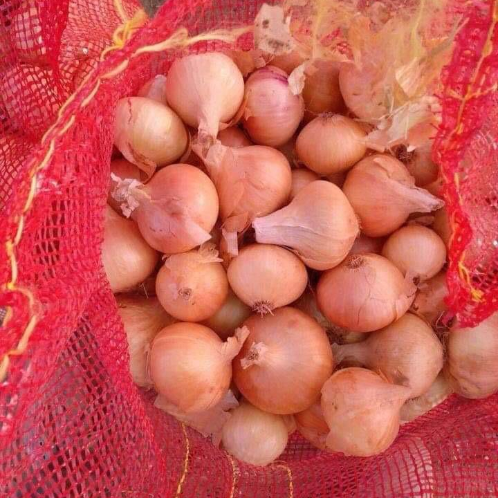 Фото 7. A grade Fresh onion for sale from Egypt