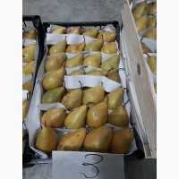 Продам грушку ноябырска жовта спакована подилена