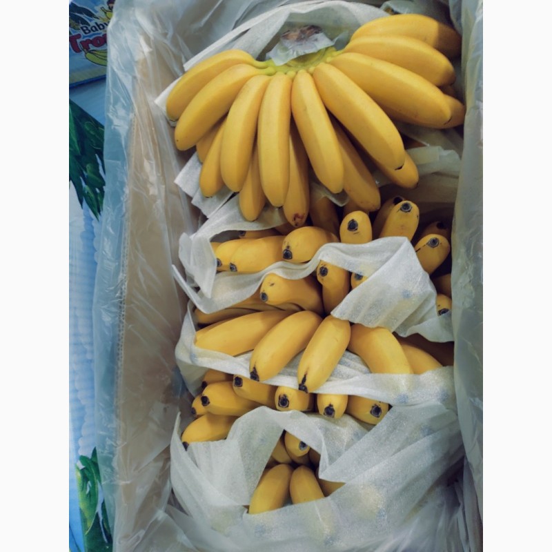 Фото 3. Продам фрукты с овощебазы от поставщика с 1 тонны
