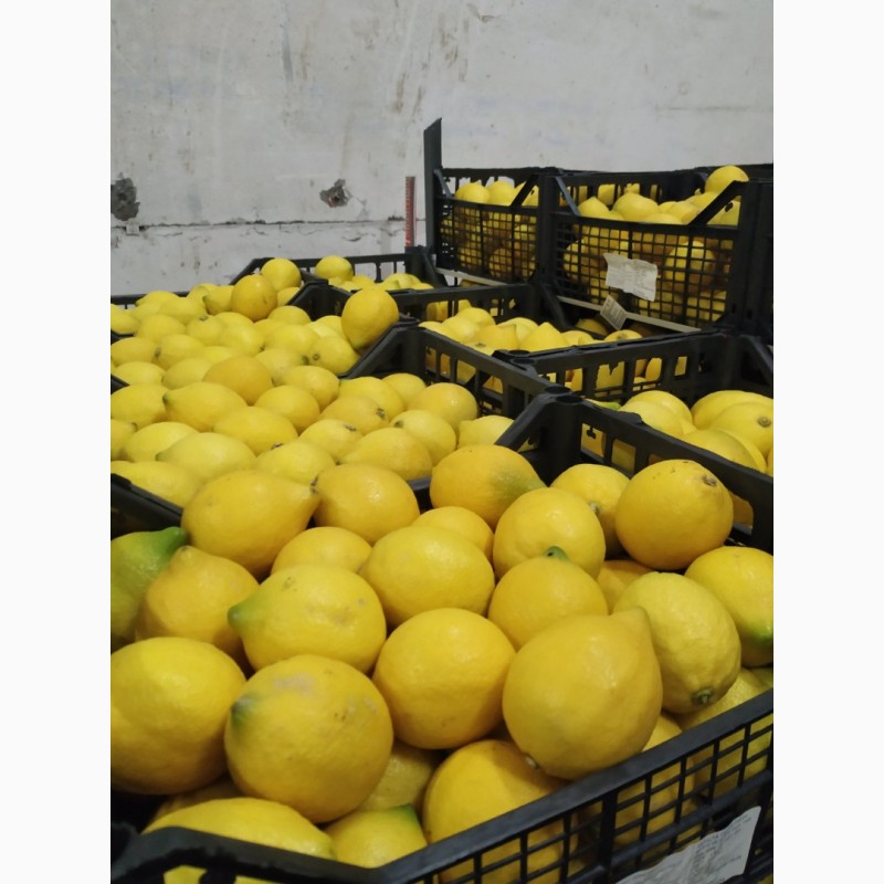 Фото 10. Продам фрукты с овощебазы от поставщика с 1 тонны