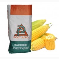 Семена кукурузы Кросби ФАО 170 Рост Агро