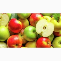 Фермерські яблука Granny Smith за привабливими цінами
