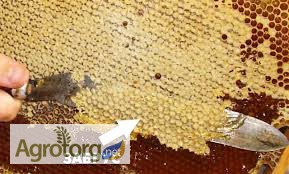 Бджолиний забрус з медом. домашній 100 % продукт без будь-яких домішок
