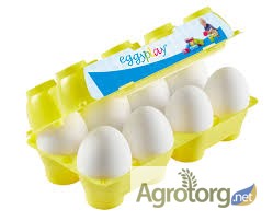 Фото 6. Лотки для яиц