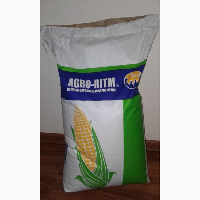 Фото 5. Продам семена кукурузы Манифик ФАО-300, гибрид F1, (Семанс Франция)