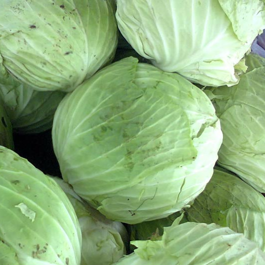 Фото 4. A grade fresh cabbage from poland