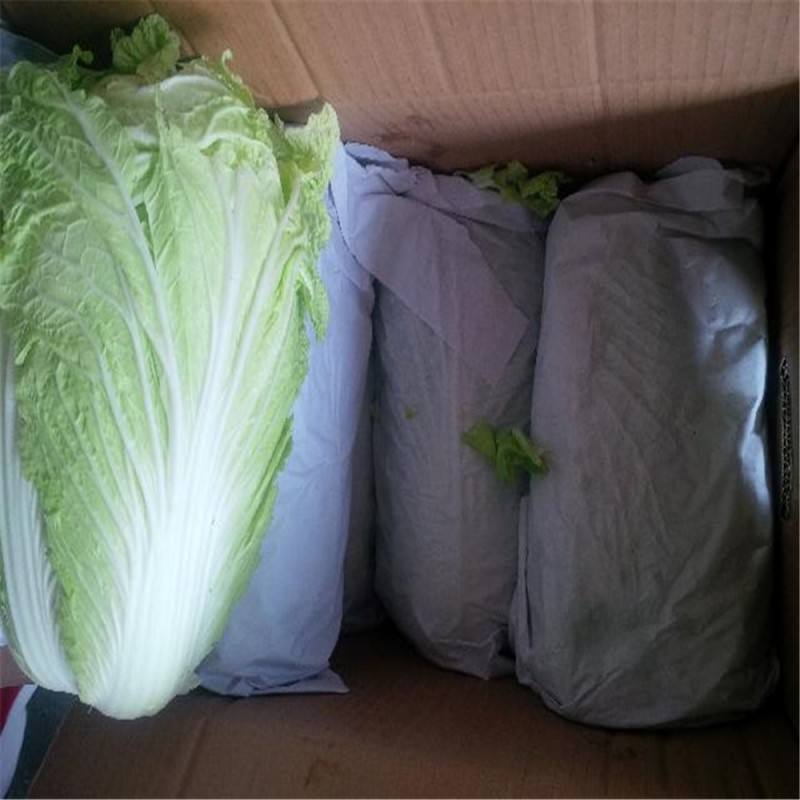 Фото 6. A grade fresh cabbage from poland