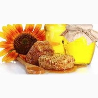 Продаю подсолнечный мед отличного качества (1000 кг)