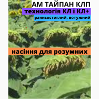 Семена подсолнечника гибрид АМ ТАЙПАН КЛП