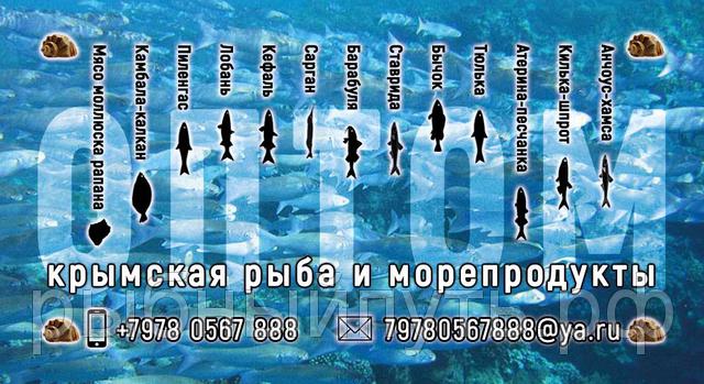 Фото 10. Крымская рыба и морепродукты оптом от производителя в Керчи