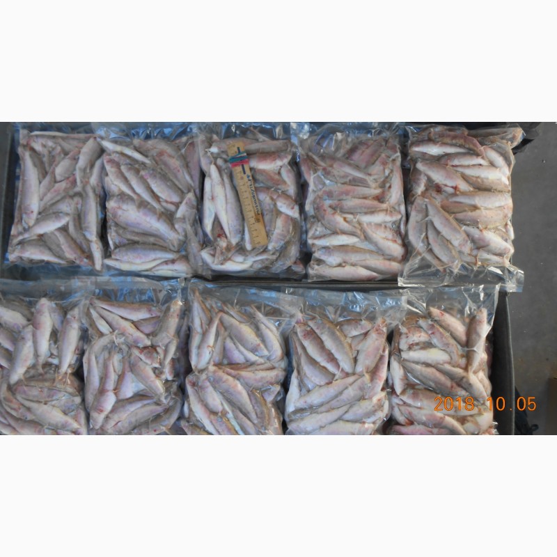 Фото 2. Крымская рыба и морепродукты оптом от производителя в Керчи