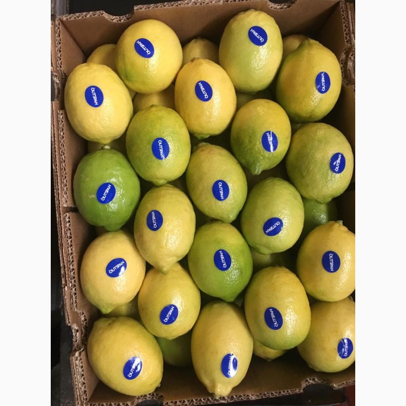 Фото 2. Лимон, Грейпфрут, цитрусовые - импорт из ЮАР