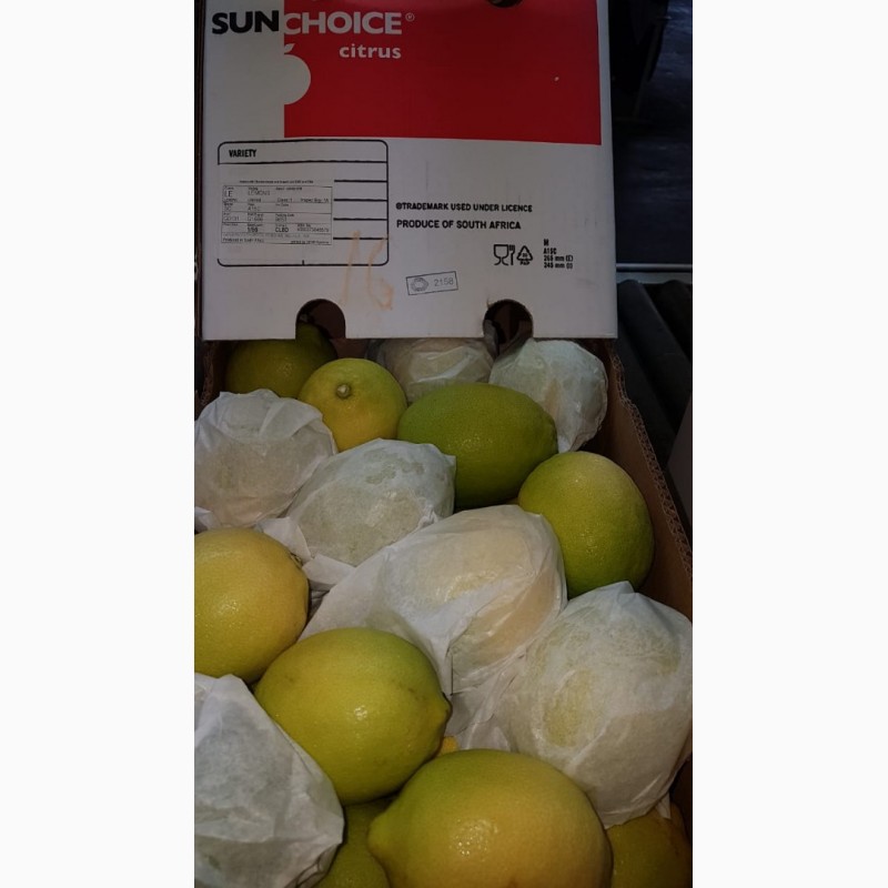 Фото 5. Лимон, Грейпфрут, цитрусовые - импорт из ЮАР