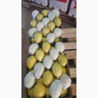 Лимон, Грейпфрут, цитрусовые - импорт из ЮАР