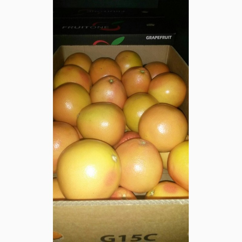 Фото 7. Лимон, Грейпфрут, цитрусовые - импорт из ЮАР