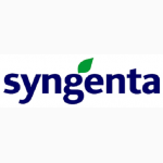 Семена рапса. Фирмы производители: Syngenta, Euralis, Lembke