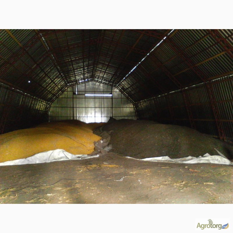 Фото 2. Продам ангар-зернохранилище 12х30х6м