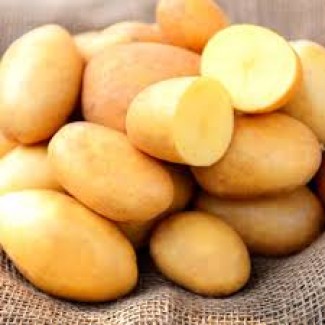 Продам картофель сорт Белароса