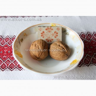 Саженцы грецкого ореха интенсивные сорта(скороплодные, низкорослые)