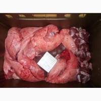 Субпродукти свинні ялові збій трахея продам