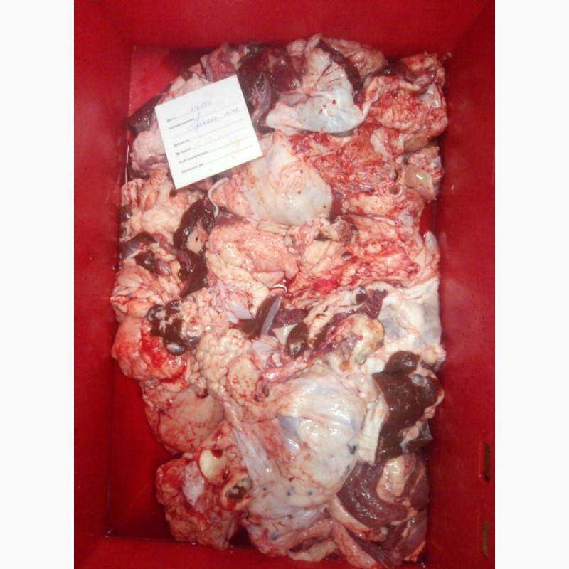 Фото 3. Субпродукти свинні ялові збій трахея продам