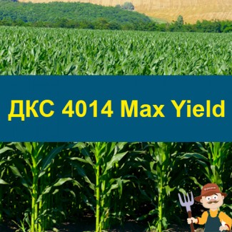 Насіння кукурудзи ДКС 4014 Max Yield