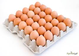 Фото 3. Продам яйцо куриное столовое, отборное, С-1, коричневое и белое мелким оптом
