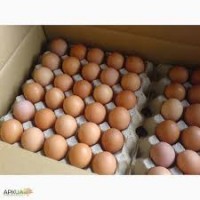 Продам яйцо куриное столовое, отборное, С-1, коричневое и белое мелким оптом