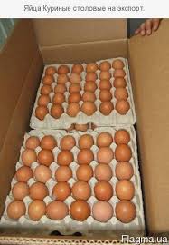 Фото 5. Продам яйцо куриное столовое, отборное, С-1, коричневое и белое мелким оптом