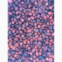 Продам сухие плоды шиповника темно-красного цвета ( ЕКСПОРТНОЙ ), Боярышник сухой 2019